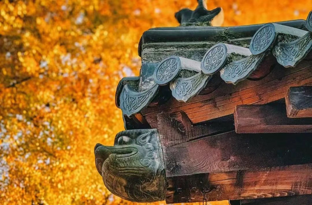 Don't Ignore! Turn Your Luck Around in 2024? Key Feng Shui Adjustments for Fall